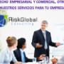 risk global consulting