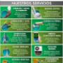 Nuestros Servicios