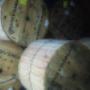Fibra Optica