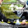 servitodo9