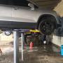 Subido por visitante en 17/11/2016