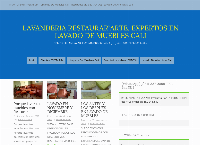 Sitio web de Lavandería Restaurar Arte