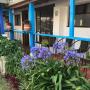 Subido por visitante en 10/02/2017