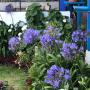 Subido por visitante en 10/02/2017