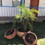 Subido por visitante en 10/02/2017