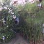 Subido por visitante en 10/02/2017