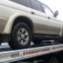 Subido por visitante en 2/04/2017