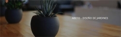 Abeto