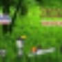 Subido por visitante en 16/06/2017
