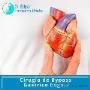 Subido por visitante en 31/01/2018