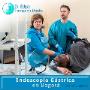 Subido por visitante en 31/01/2018