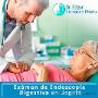 Subido por visitante en 31/01/2018