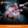 Subido por visitante en 2/02/2018