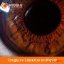 Subido por visitante en 2/02/2018