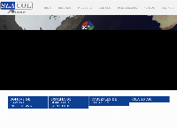 Sitio web de SLACOL