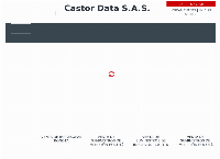 CASTOR DATA S.A.S