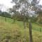 -39-VENTA-CASA-FINCA-PR