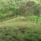 -39-VENTA-CASA-FINCA