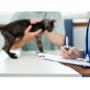 Atención veterinaria especializada para el bienestar y salud de tus mascotas. Estamos en Colombia.