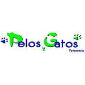 Pelos y Gatos