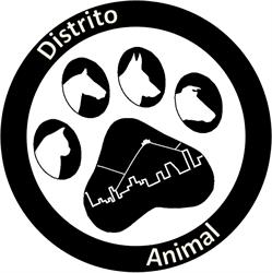 Vet distrito animal