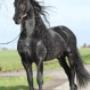# 1