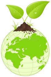 ECO VIVERO MUNDO NATURAL