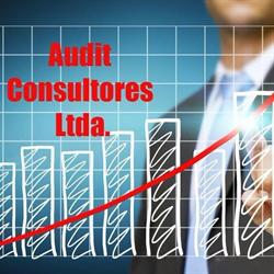 Audit Consultores Ltda.