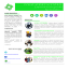 Servicios