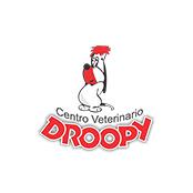 CENTRO VETERINARIO DROOPY