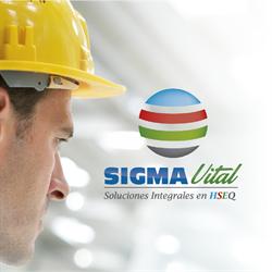 Seguridad Industrial & Gestion Del Medio Ambiente Sigmavital S.A.S.