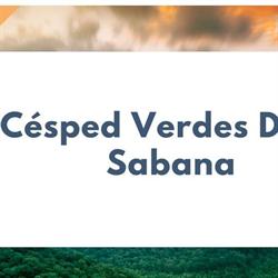 Césped Verdes De La Sabana