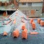 Canoas