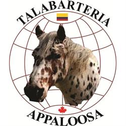 Talabartería  Appaloosa