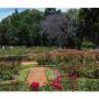 Mantenimiento de áreas verdes, limpieza integral, jardinería, poda de árboles y setos, suministro y siembra de plantas y césped, fertilización y fumigación. Nos encontramos en Colombia.