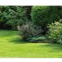 En Cali, Valle del Cauca, Jardines y Prados ofrece soluciones integrales en paisajismo, aseo y mantenimiento de zonas verdes. Nos especializamos en jardinería, poda de árboles y setos, siembra de plantas ornamentales y prados, además de servicios de aseo industrial, comercial y residencial.