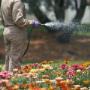 Brindamos servicios de aseo, mantenimiento de zonas verdes y diseño de jardines, garantizando espacios limpios y hermosos con calidad y profesionalismo. Nos encontramos en Colombia.
