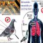 fumigacion contra aves
