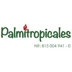 Palmitropicales