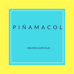 Piñamacol