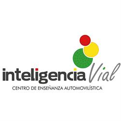 Cea Inteligencia Vial