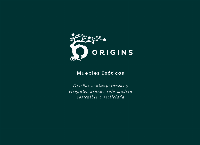 Sitio web de Find The Origins