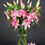 Lilies