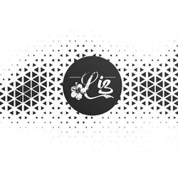 Liz Shoes
