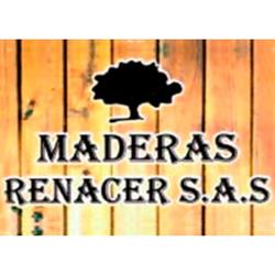 Maderas Renacer S.A.S.