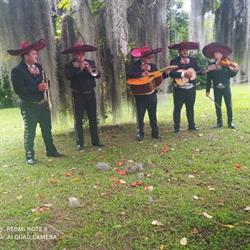 Mariachi Texas