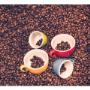 Deléitate con el sabor genuino en cada taza de nuestro café artesanal, una experiencia inigualable para tus sentidos. Visítanos en Cota, Cundinamarca, y descubre el placer en cada sorbo. Nos encontramos en Colombia.