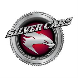 Silver Cars