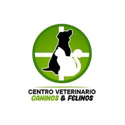 CANINOS Y FELINOS CENTRO VETERINARIO