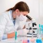 Laboratorio